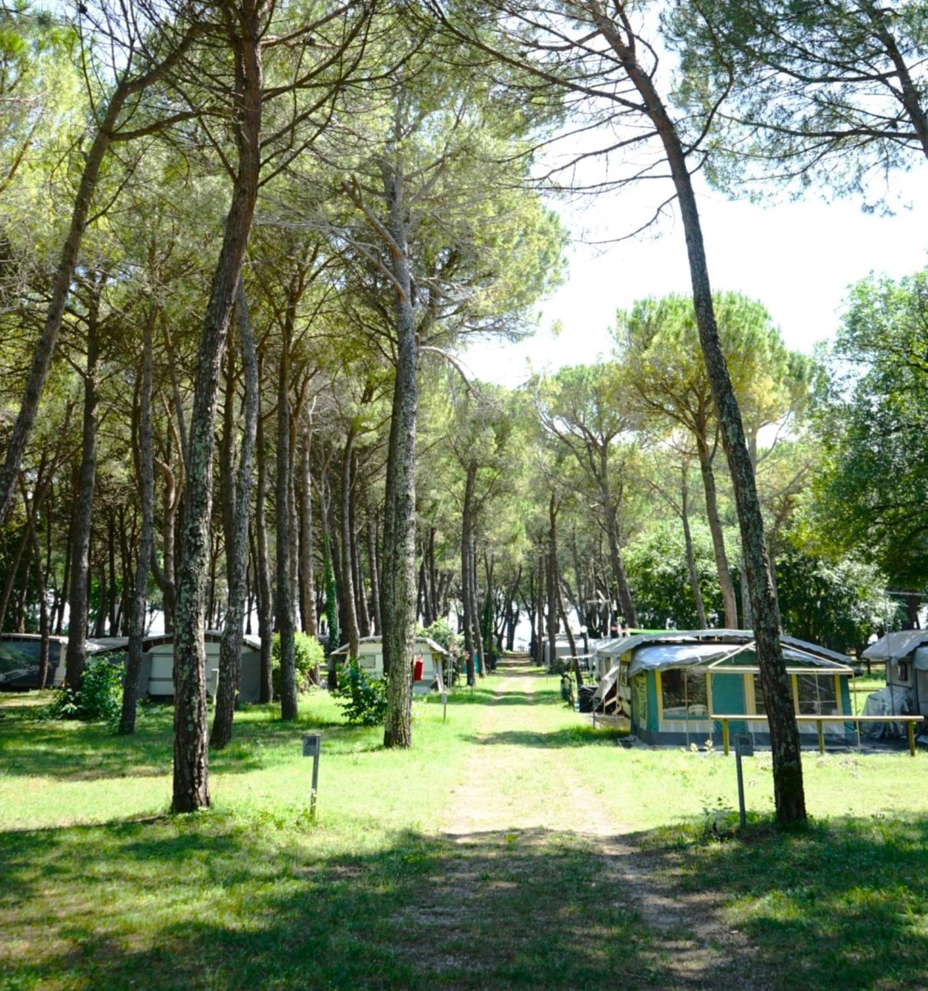 Belvedere Pineta Camping Village Grado Ngoại thất bức ảnh