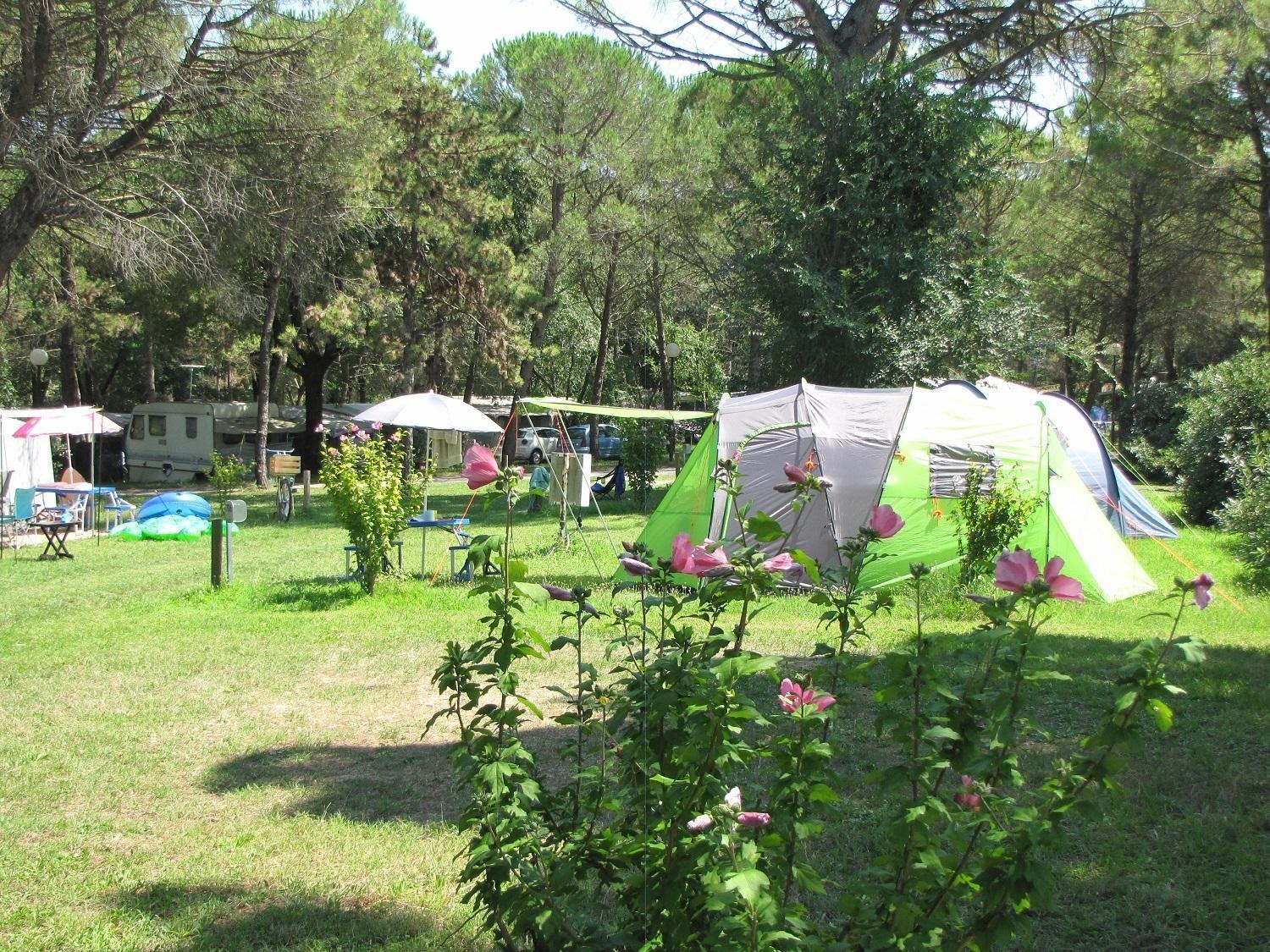 Belvedere Pineta Camping Village Grado Ngoại thất bức ảnh
