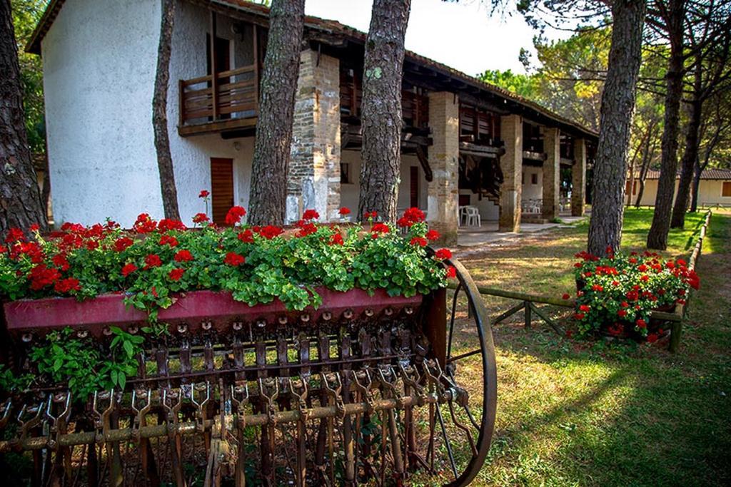 Belvedere Pineta Camping Village Grado Ngoại thất bức ảnh